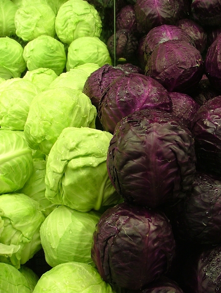 both red and green cabbages can be used to make cabbage juice