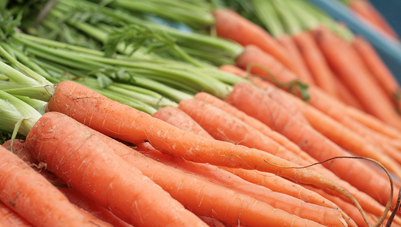 fresh carrots