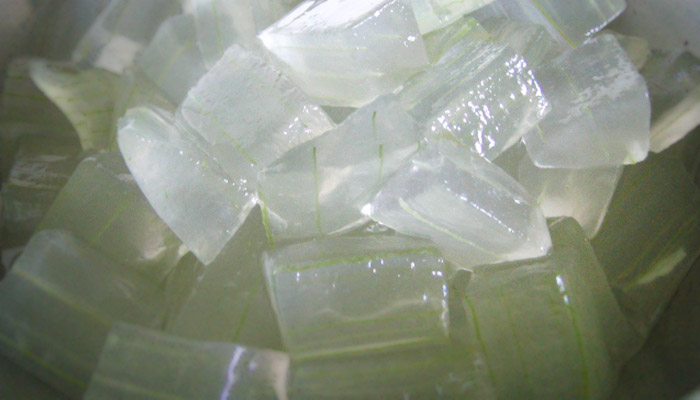 gel parts of aloe plant, how to make aloe vera gel
