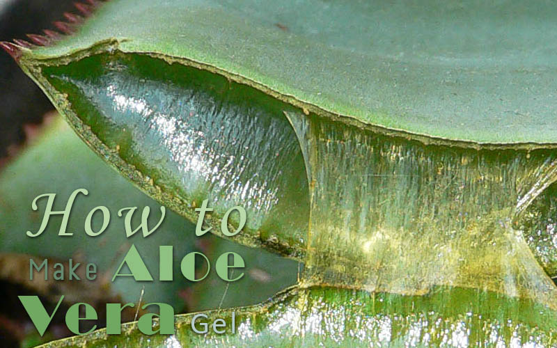 how to make aloe vera gel