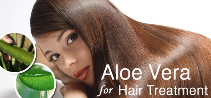aloe-vera-for-hair-treatment