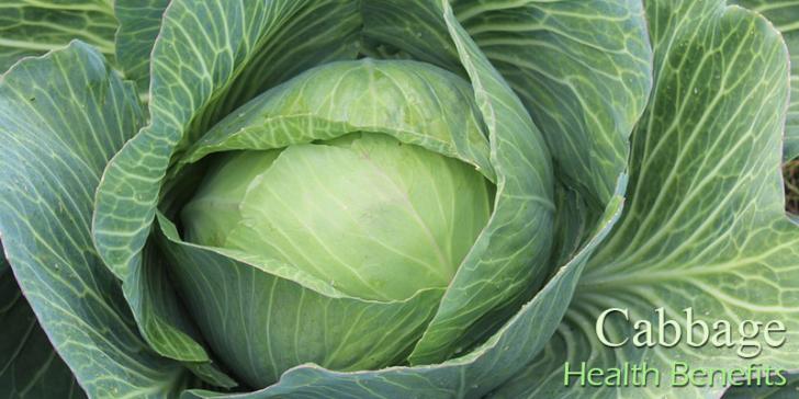 health benefits of green cabbage