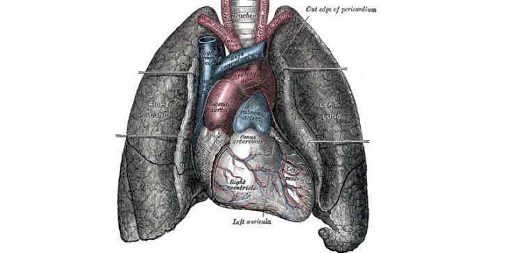 improve-lungs-health