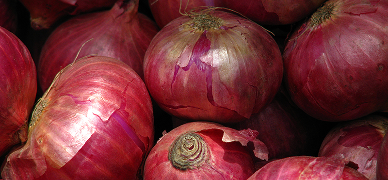 onion