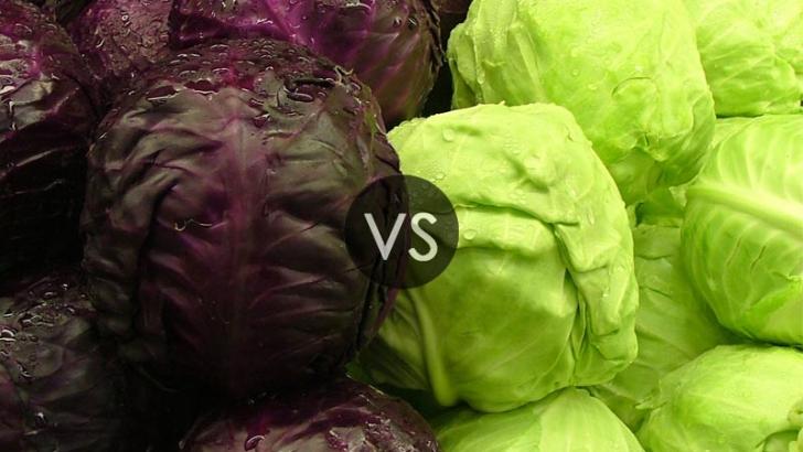 benefits of red cabbage and green cabbage